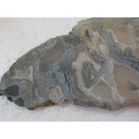 Ochoco Oregon Tube Agate Rock Slab White Gray & Blue Translucent Silica Rich - Picture 5 of 7